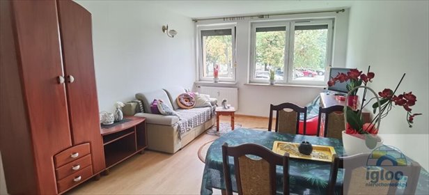Zapraszam do wynajęcia 2-pokojowego mieszkania 43 m² w Kielcach mieszkanie Kielce, Ksm, Sandomierska