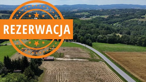 Zapraszam do zakupu działki 30 arów z pozwoleniem na budowę działka Ryglice