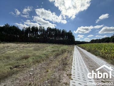 działka na sprzedaż 3375m2 działka Zielona Chocina