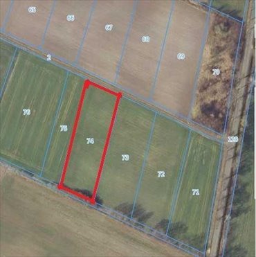 działka na sprzedaż 4300m2 działka Studzieniec