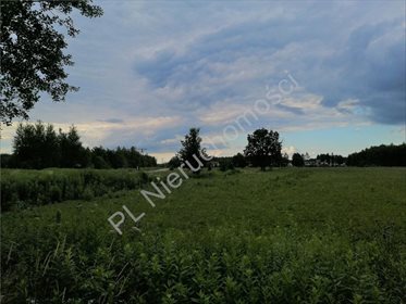 Działka inwestycyjna na sprzedaż Ciopan 16 200m2 Foto 6