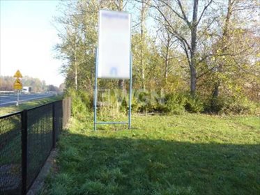 Działka inwestycyjna pod dzierżawę Romanów, Romanów, Romanów 1 000m2 Foto 2