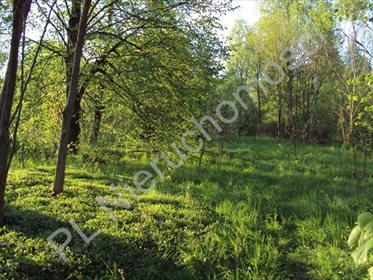 działka na sprzedaż 27100m2 działka Osuchów