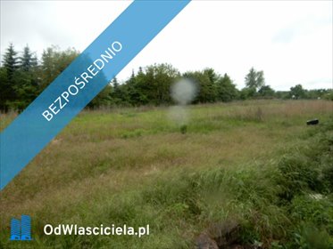 działka na sprzedaż 3200m2 działka Oborzany