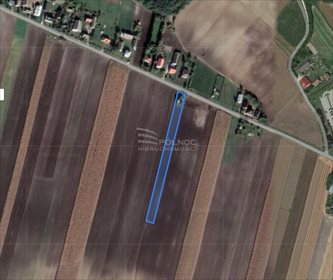 działka na sprzedaż 4130m2 działka Dosłońce