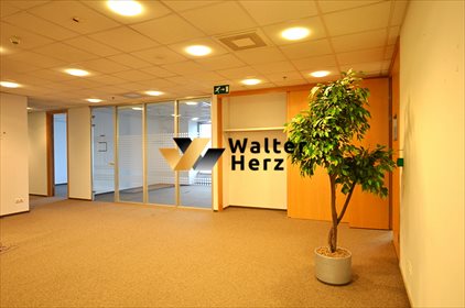 Lokal użytkowy na wynajem Warszawa, Wola, Chłodna 1 081m2 Foto 5