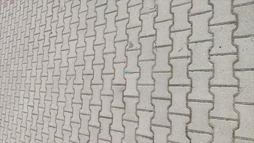 Polecam teren 2000 m² wybrukowany, do wynajęcia w Łaziskach Górnych działka Łaziska Górne