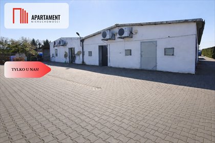 Hale produkcyjne 420 m² w Marlewie, dostęp z dwóch stron - polecam! lokal użytkowy Marlewo