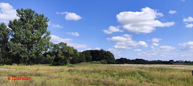 Działka rolna 40 000 m² w Biechowie (utwardzona droga) działka Biechowo