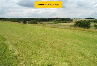 Polecam działkę 27 841 m² z widokiem na dolinę rzeki Cybiny działka Jankowo