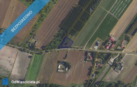 działka na sprzedaż 3000m2 działka Kamienica