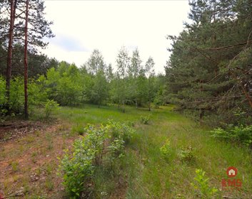 działka na sprzedaż 1001m2 działka Płaska