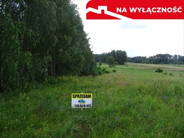 działka na sprzedaż 7232m2 działka Kałek