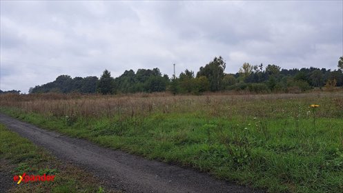 Działka budowlana 1421 m² w Ostrzeszowie – spokojna okolica działka Ostrzeszów