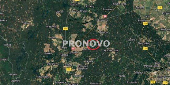 Polecam działkę rolną 3,6 ha z lasami i stawami w Bukowie działka Bukowo
