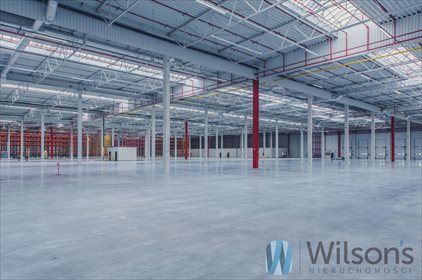 magazyn na wynajem 4050m2 magazyn Sękocin Nowy, Sękocińska