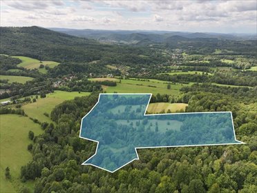Działka rolna 7,7 ha z polanami i lasem - polecam! działka Łobozew Górny