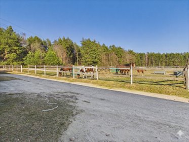 działka na sprzedaż 22730m2 działka Dąbrowa-Dzięciel
