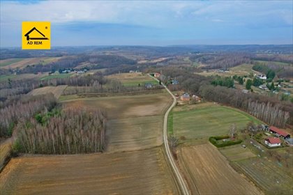 Działka 9 321 m² z lasem i mediami (Zawada, Wąwolnica) działka Zawada, Zawada, Celejów, Rąblów