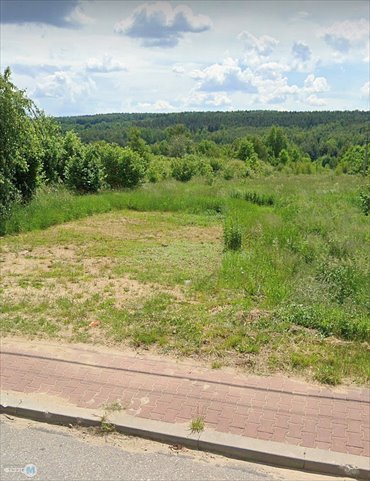 działka na sprzedaż 5000m2 działka Mniów, Serbinów