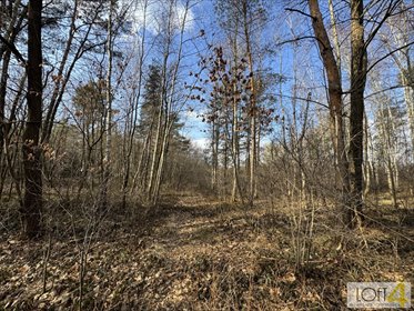 działka na sprzedaż 3400m2 działka Stare Żukowice