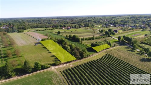 Działka rekreacyjna na sprzedaż Radzięcin 2 328m2 Foto 1