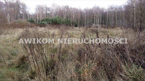 działka na sprzedaż 2000m2 działka Pęcice