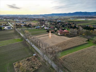 Teren inwestycyjny 1,6 ha (MN/P1 + MN1) | Nowizna działka Nowizna
