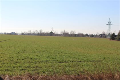 działka na sprzedaż 2000m2 działka Sława