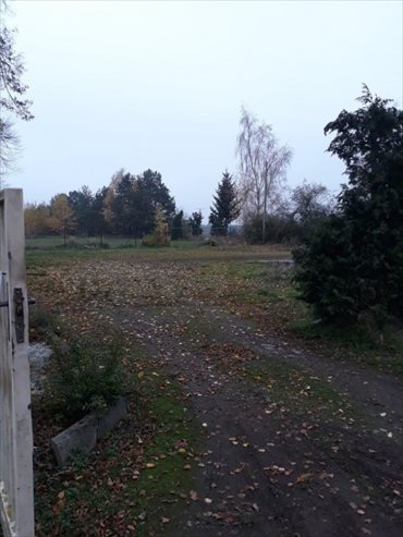 Działka inna pod dzierżawę Lipiany, PYRZYCKA 800m2 Foto 4