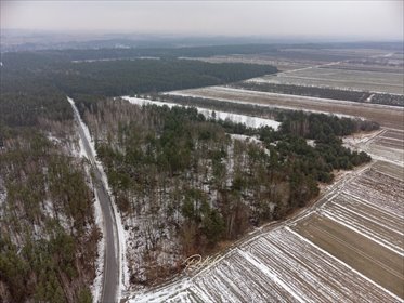Działka rolna z lasem, dostęp asfalt, 15 318 m² działka Wyśmierzyce