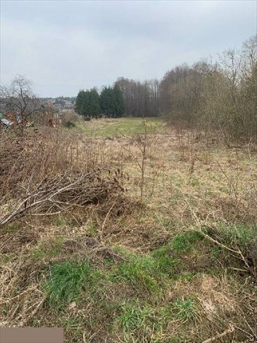 Działka 3900 m² z lasem w Studziankach - polecam! działka Studzianki