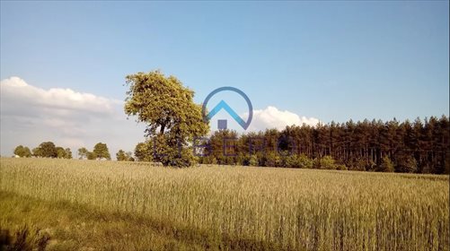 działka na sprzedaż 1400m2 działka Huta Podgórna