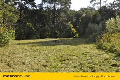 Działka budowlana na sprzedaż Kajny, Jonkowo 5 200m2 Foto 6