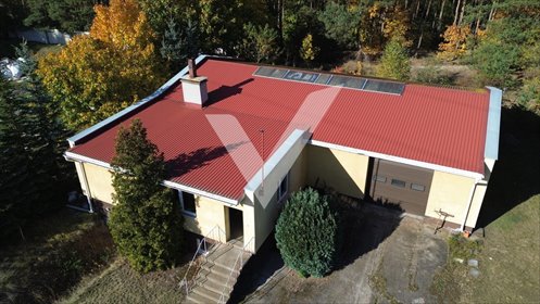 Sprzedam magazyn 547 m² z biurem i lasem w Pawłówku magazyn Pawłówek