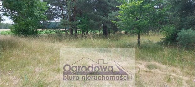 Działka siedliskowa 6 472 m² z projektem i pozwoleniem działka Nowy Kębłów