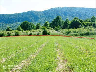 Działka rolna na sprzedaż Jasionka 2 800m2 Foto 3