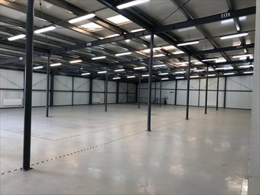 Magazyn na wynajem NADARZYN/ KAJETANY, BRZOZOWA 42A 2 800m2 Foto 6