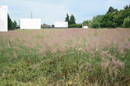 działka na sprzedaż 1113m2 działka Suszec, Pszczyńska