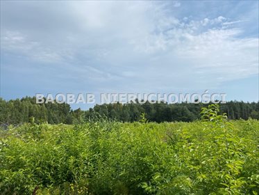 Działka budowlana na sprzedaż Badowo-Dańki, Dębowa 1 102m2 Foto 1
