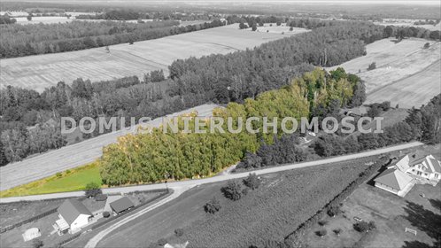 Działka 9488 m² w Jaroszkach z lasem - polecam działka Jaroszki