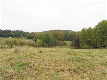 Działka inna na sprzedaż Pilona, Pilona 3 187m2 Foto 6