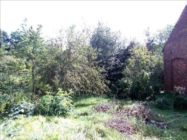 Lokal użytkowy na sprzedaż Pławna Dolna 806m2 Foto 6
