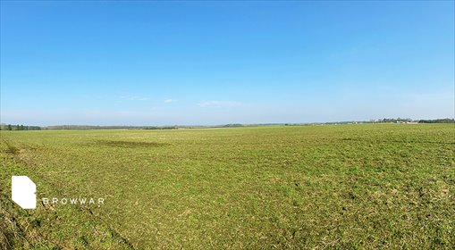 działka na sprzedaż 45200m2 działka Długa Goślina