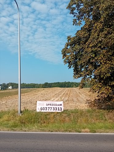 Działka budowlana na sprzedaż Łany Wielkie, Łabędzka 720m2 Foto 4