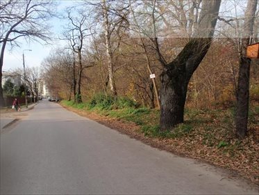 Działka inwestycyjna na sprzedaż Warszawa, Białołęka, Wiśniewo 87 000m2 Foto 2