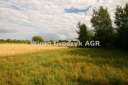 Działka rolna na sprzedaż Wrzosówka 10 500m2 Foto 1