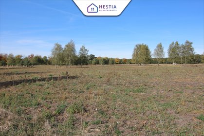 działka na sprzedaż 3001m2 działka Grzepnica