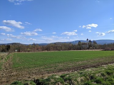 działka na sprzedaż 3000m2 działka Wolimierz