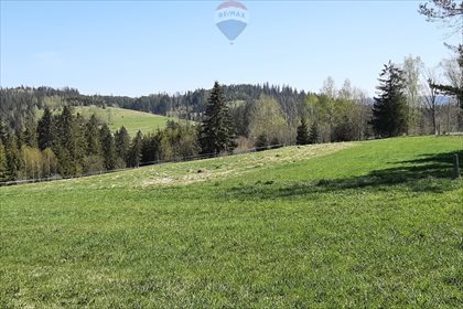 Działka rolna na sprzedaż Pieniążkowice 2 528m2 Foto 4
